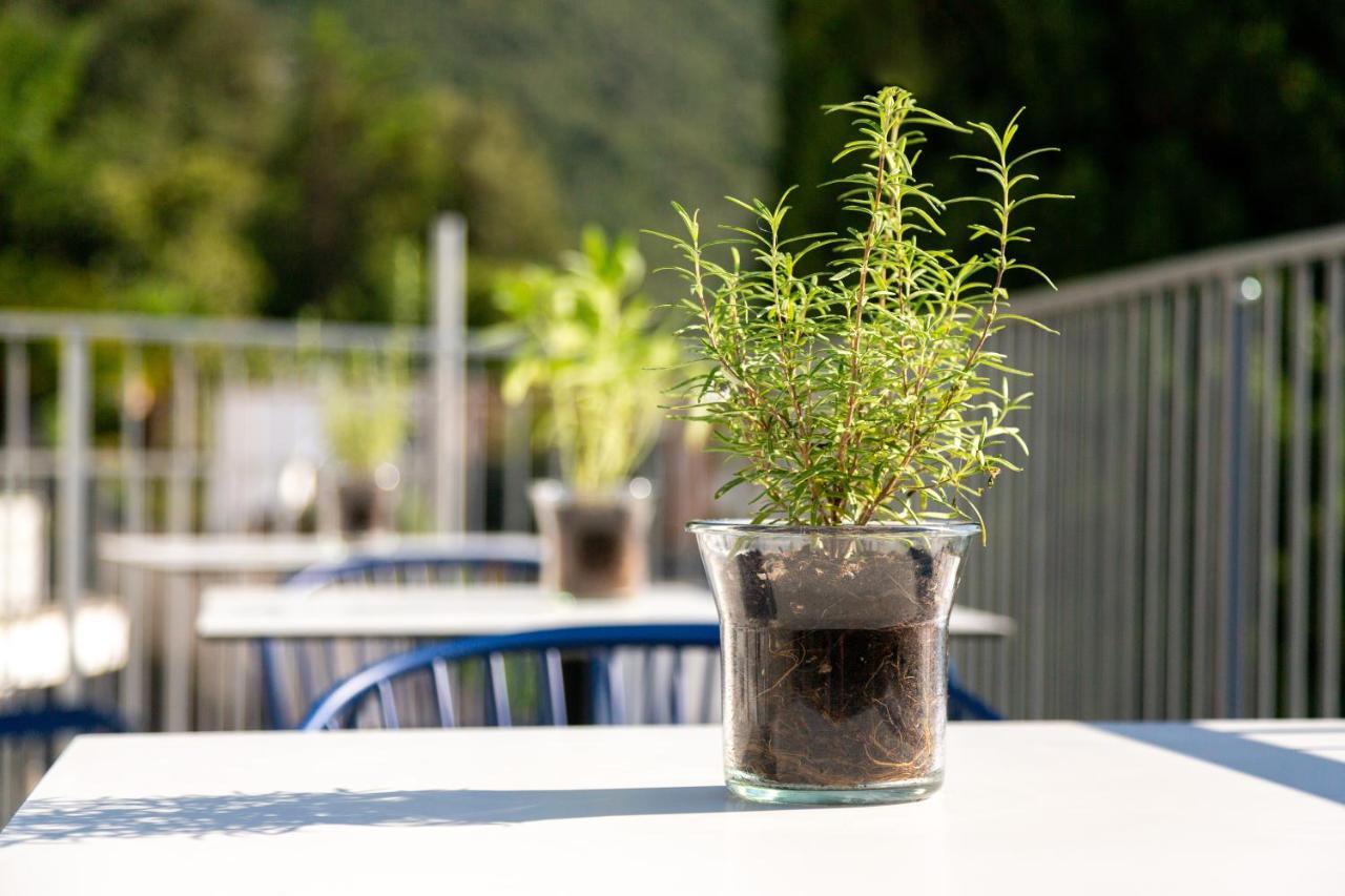 Vistalago Torbole Torbole Sul Garda Exterior foto